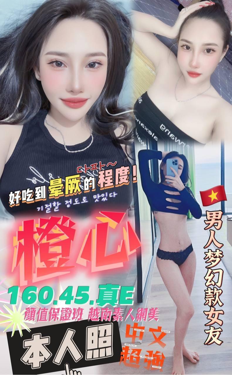 台中定點茶:橙心160/45/E 台中定點茶:橙心160/45/E