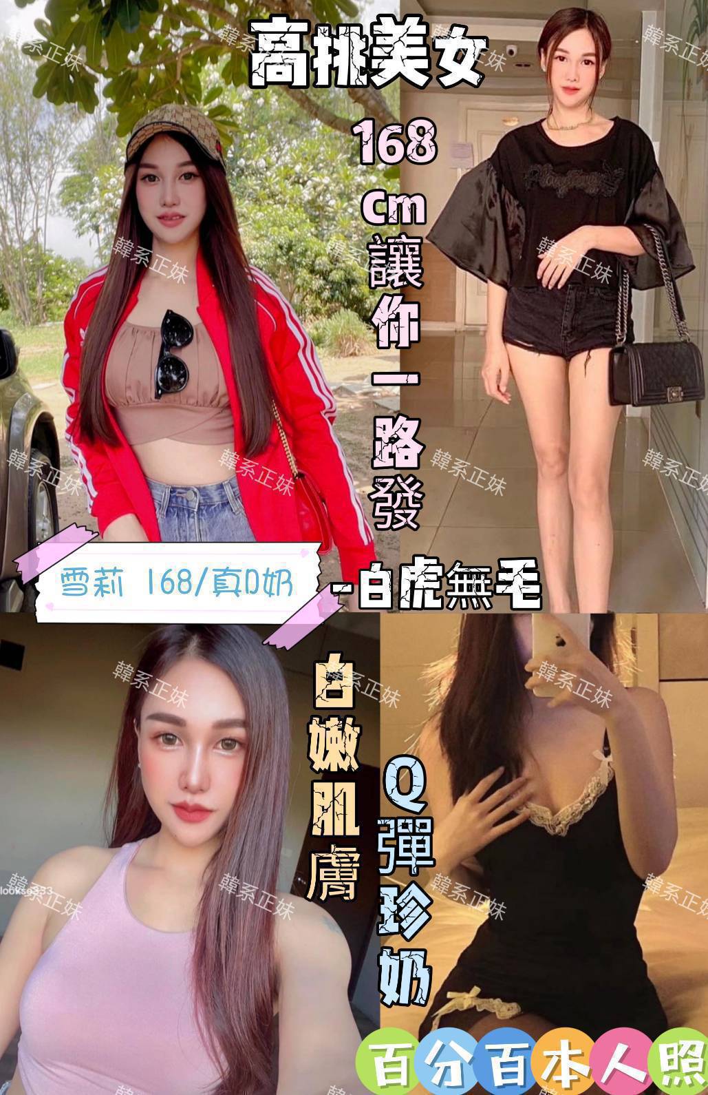 台北定點茶:️雪莉160/45/E