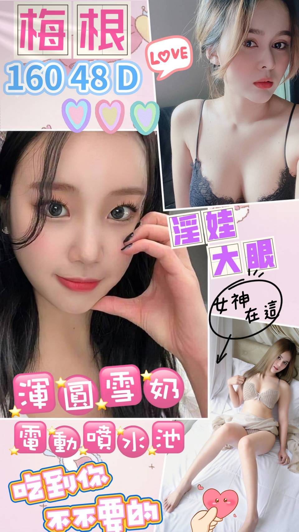 高雄定點茶:梅根160/48/D 高雄定點茶:梅根160/48/D