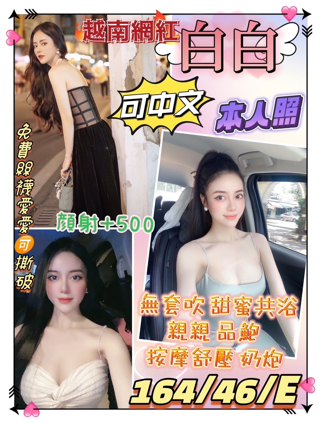 台北定點茶:白白 164/46/E 台北定點茶:白白 164/46/E