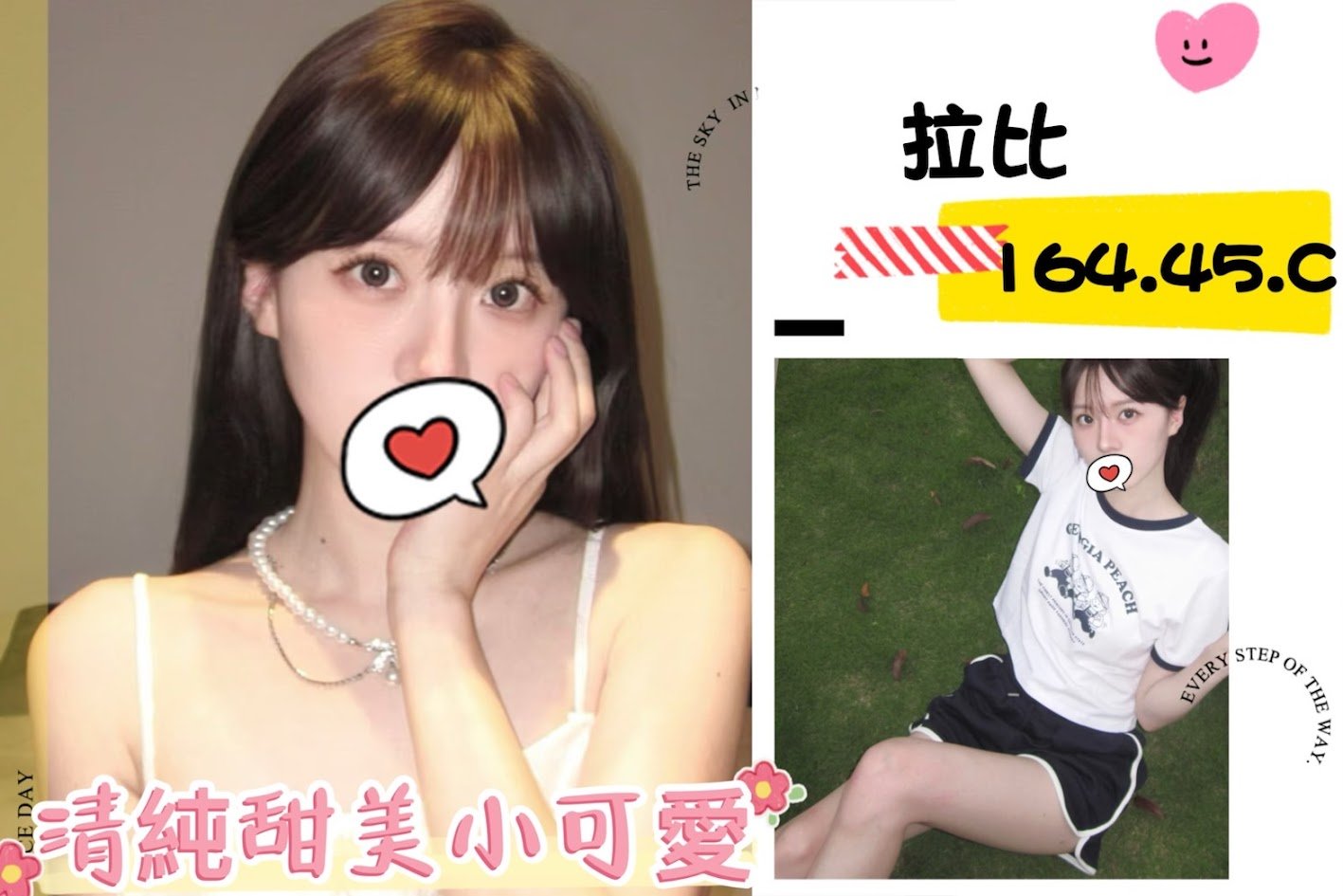 台北外送茶:拉比 164/45/C 台北外送茶:拉比 164/45/C