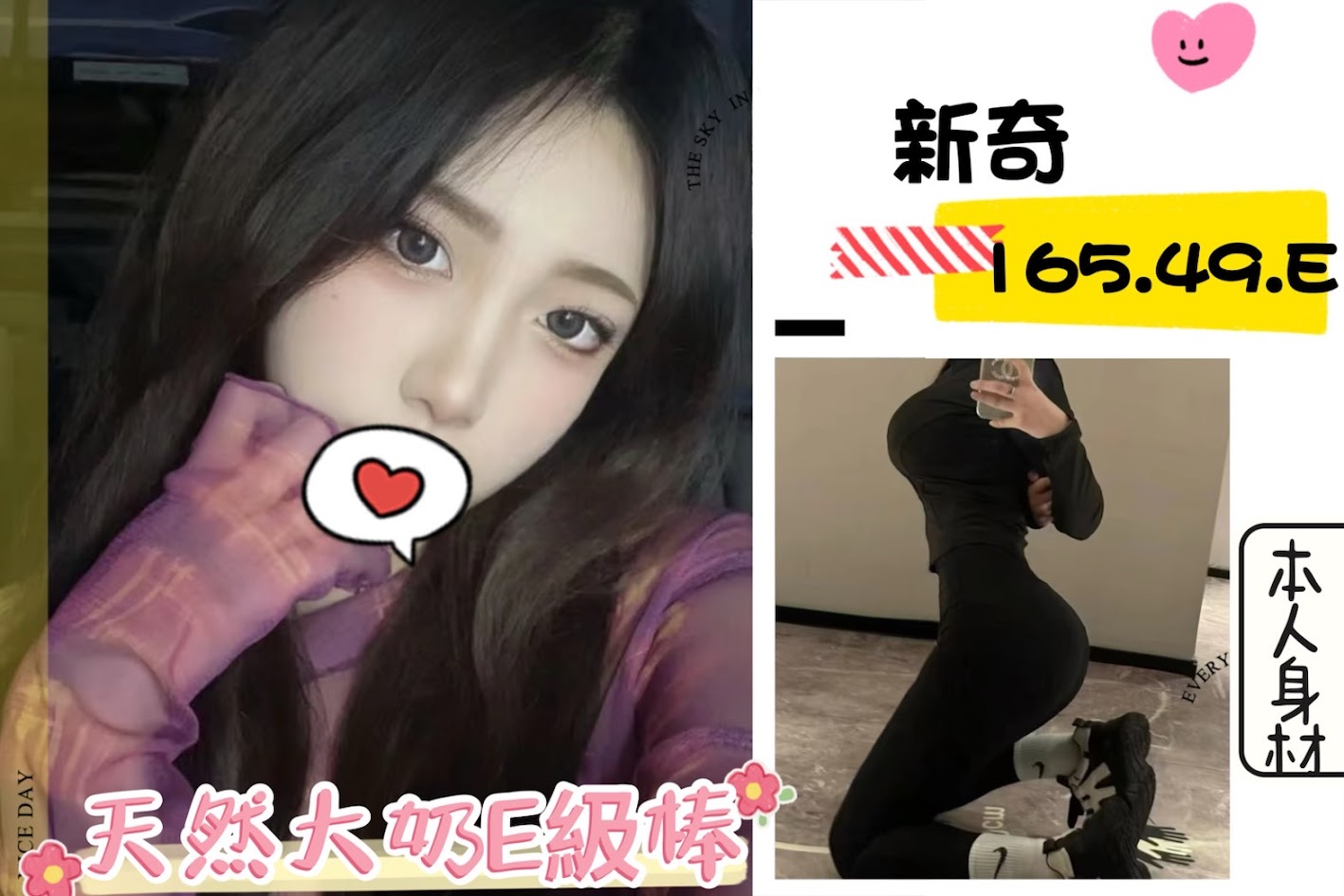 台北外送茶:新奇 165/49/E 台北外送茶:新奇 165/49/E