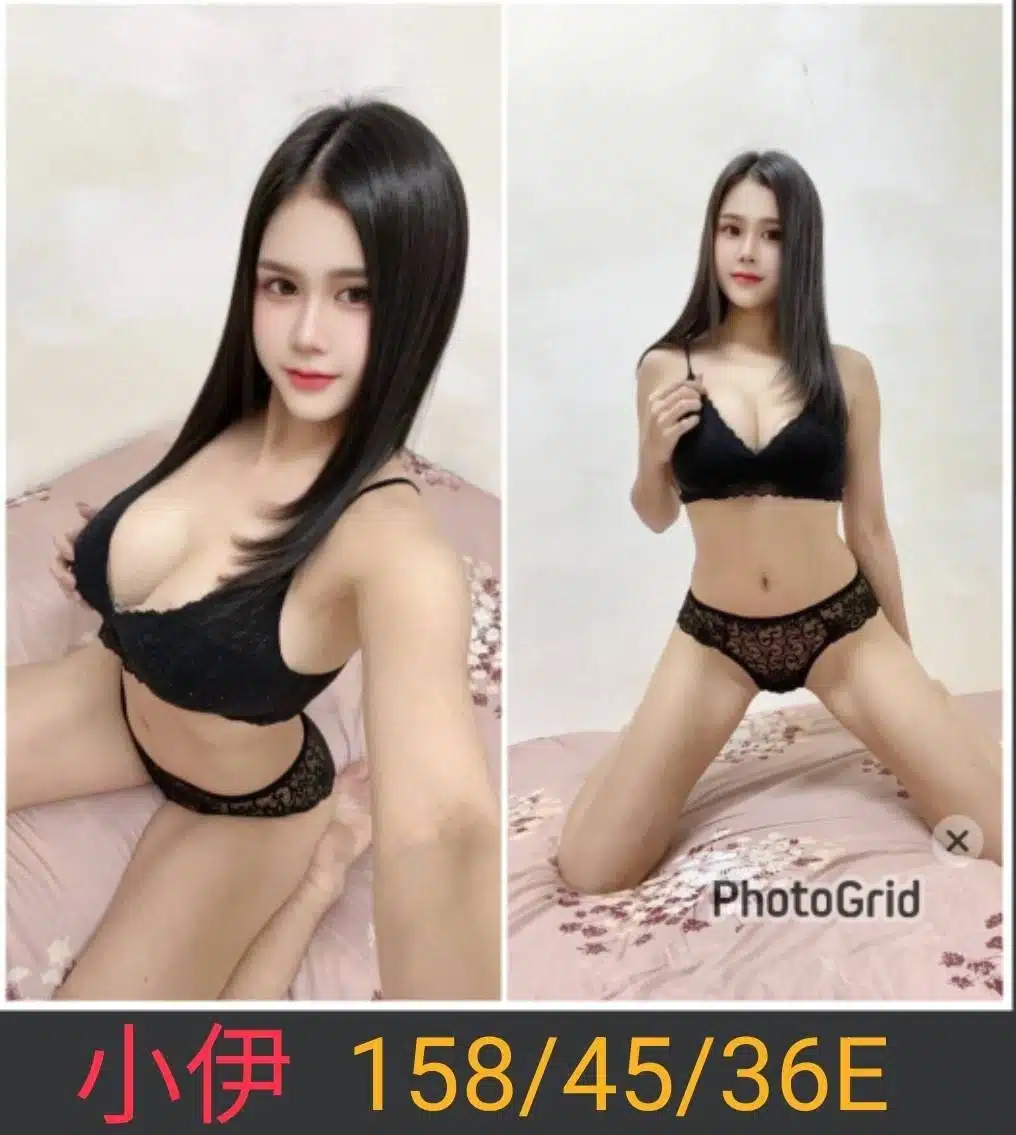 南投定點茶-小伊/158/45/23/E 南投定點茶-小伊/158/45/23/E