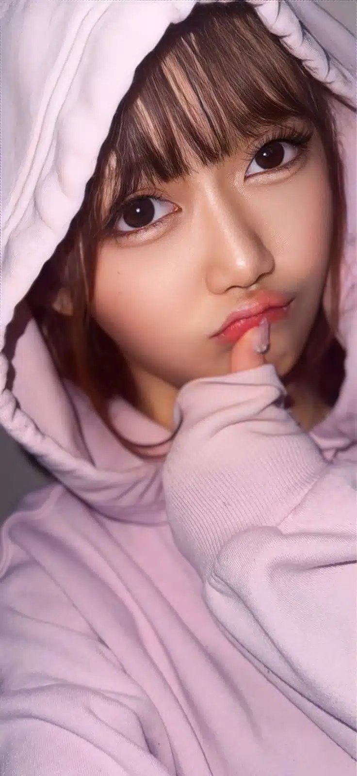 台北定點茶-桃香/155/45/23/E