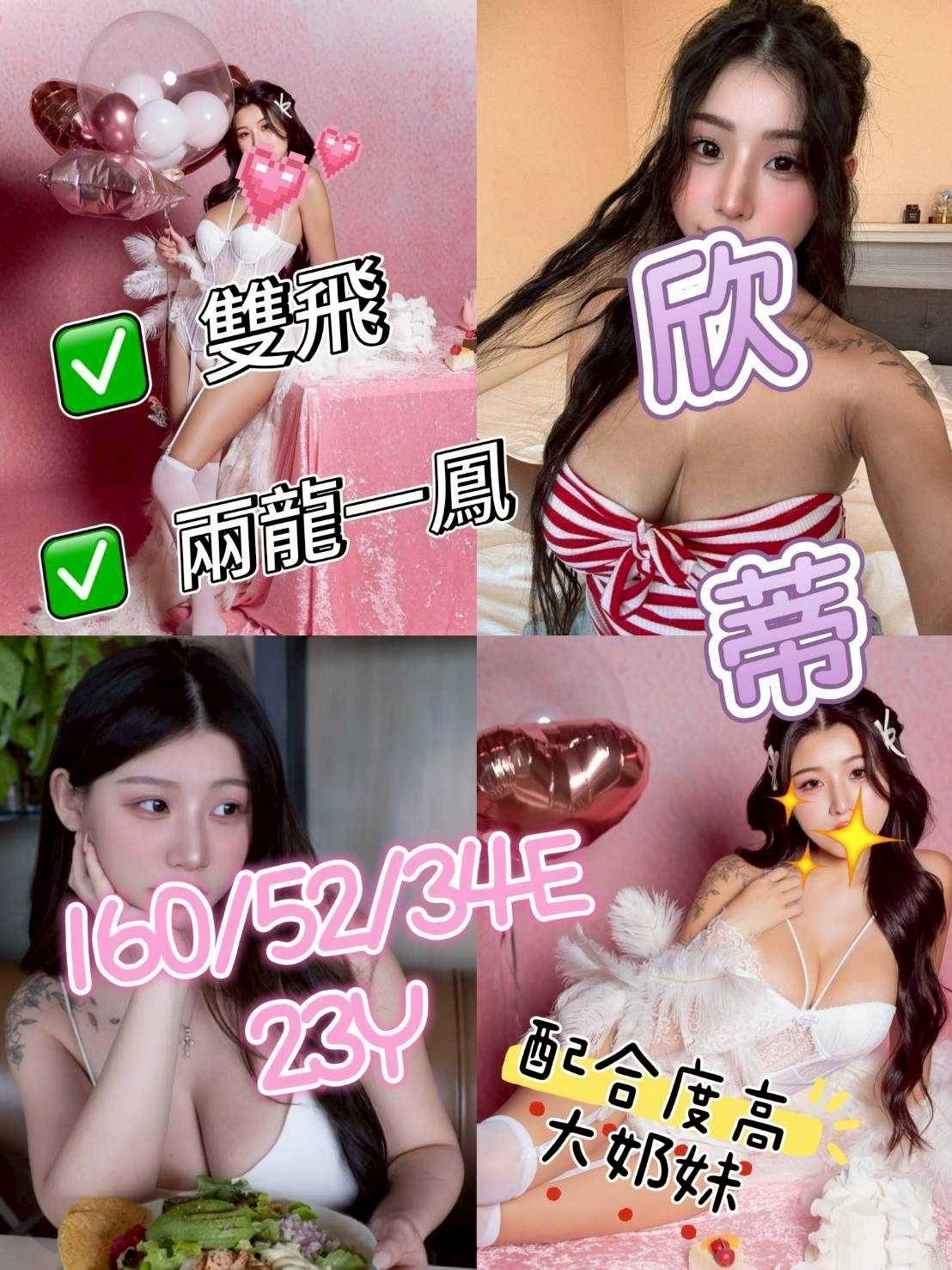 嘉義定點茶-欣蒂/160/52/23/E