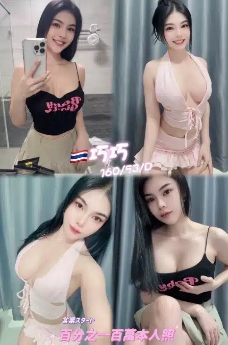 新北定點茶-巧巧/160/53/25/D