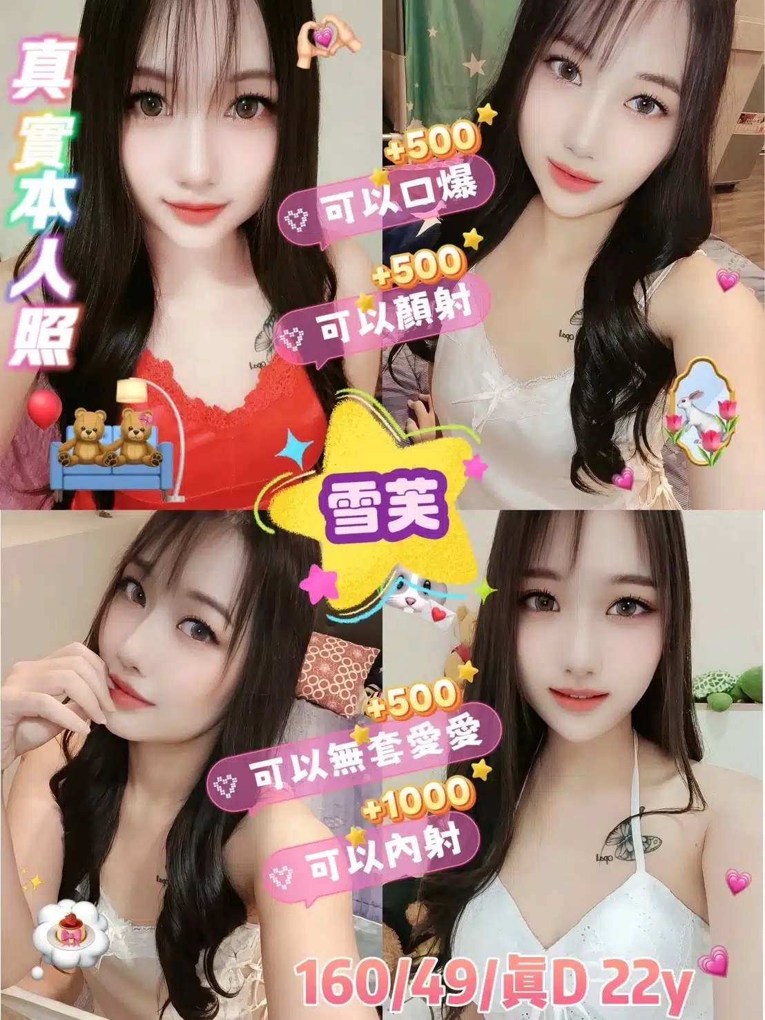 台東定點茶-雪芙/160/49/22/D