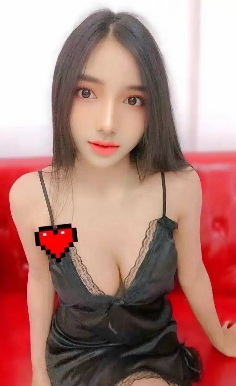 台北定點茶-心妃/160/47/23/E