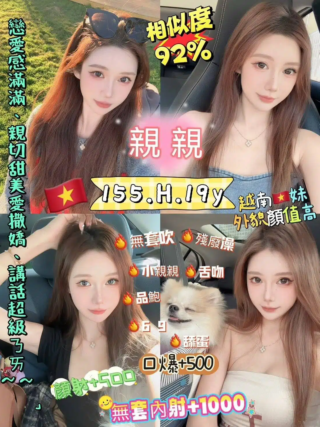 新北定點茶-親親/155/50/19/H