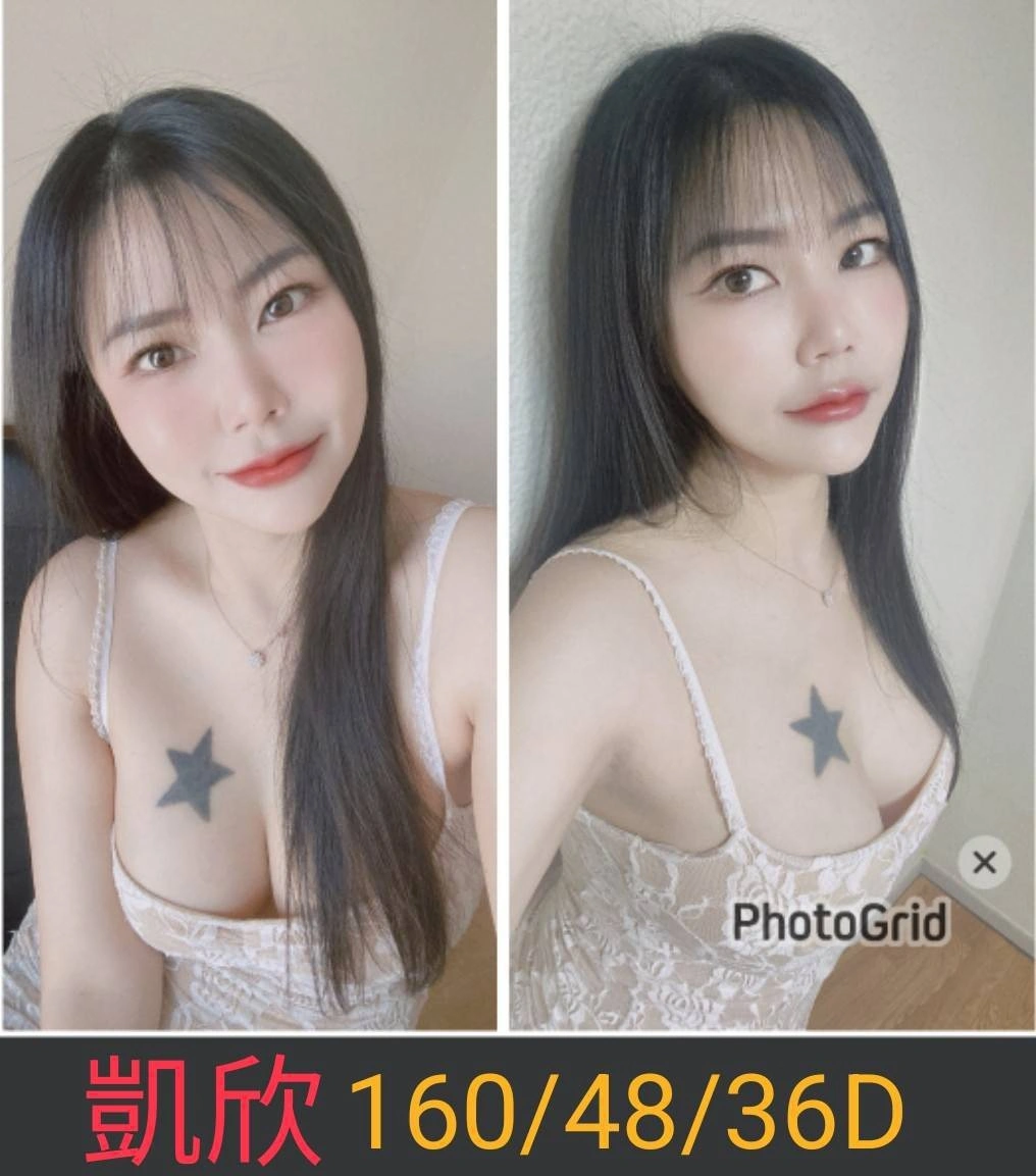 南投定點茶-凱欣/160/48/26/D