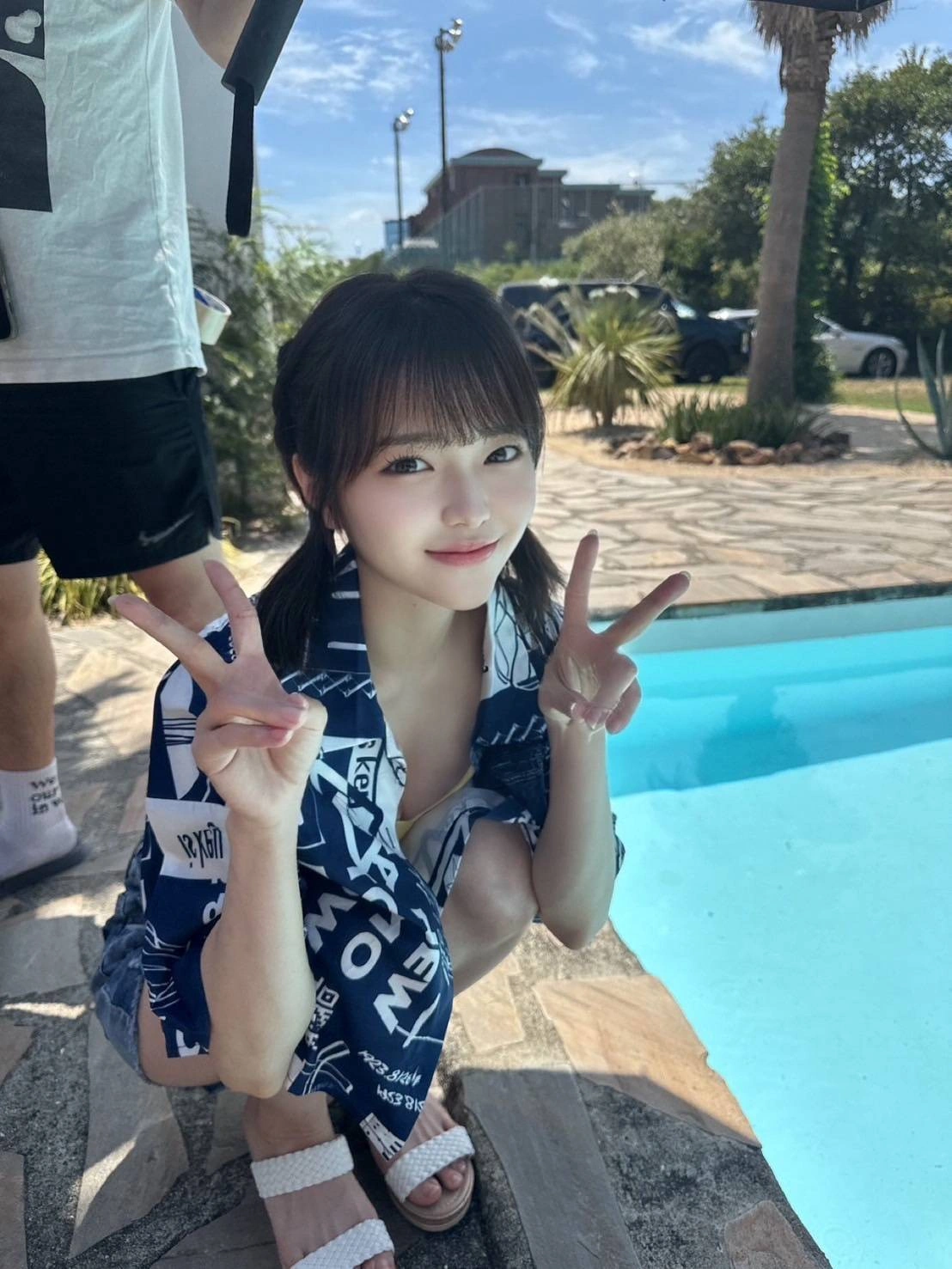 台南定點茶-根鈴菜/158/44/21/D