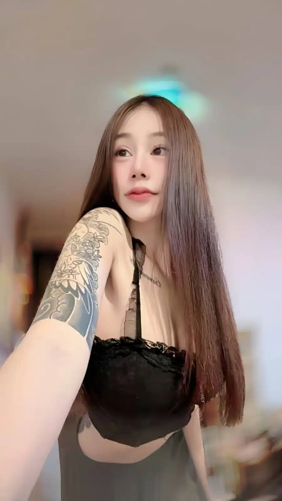 嘉義定點茶-亞寧/160/41/20/C