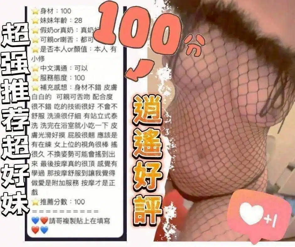 台南定點茶-逍遙/160/48/25/D