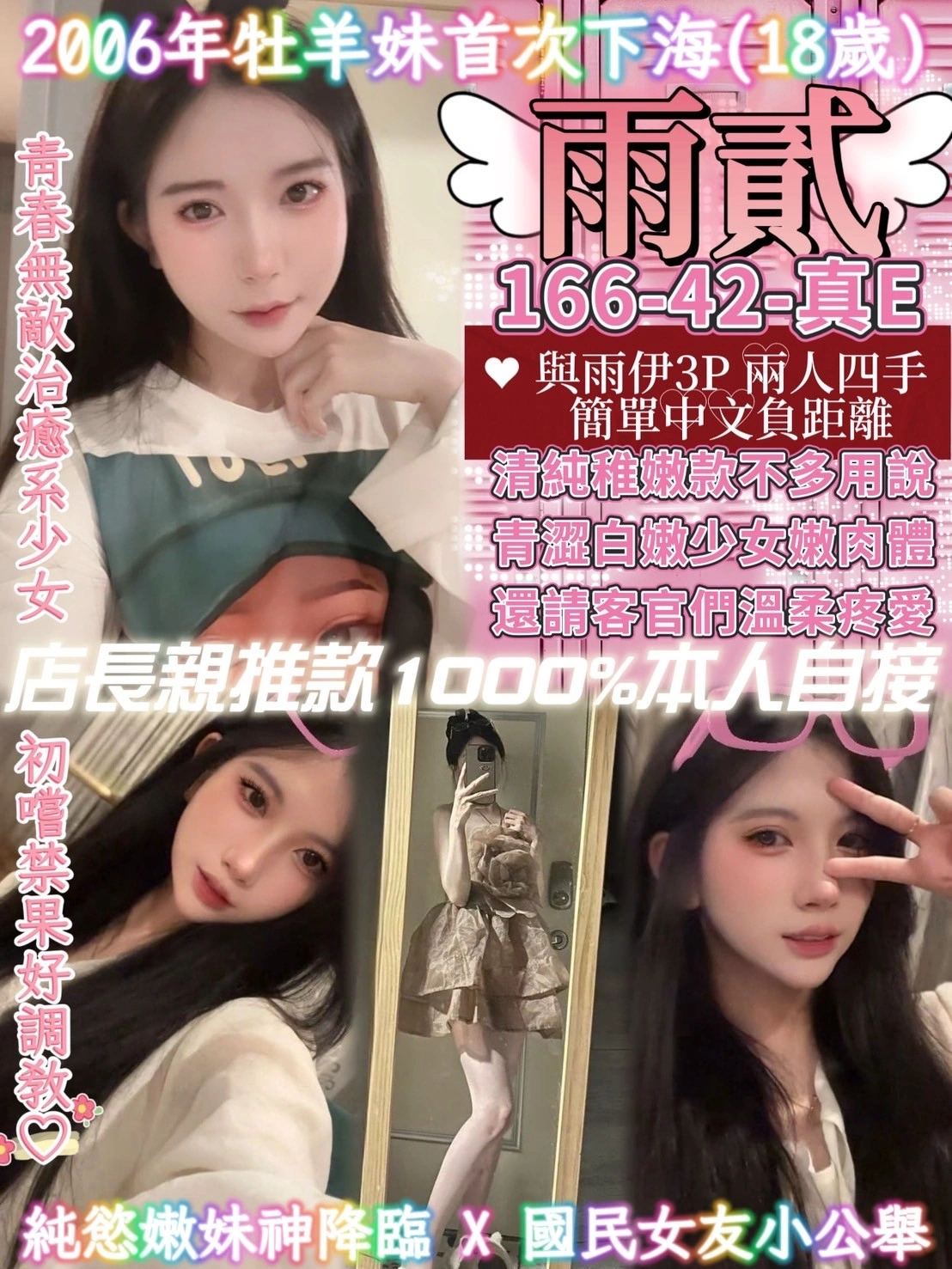 桃園定點茶-雨貳/166/42/18/E 桃園定點茶-雨貳/166/42/18/E