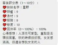 桃園定點茶-星野/156/42/25/C