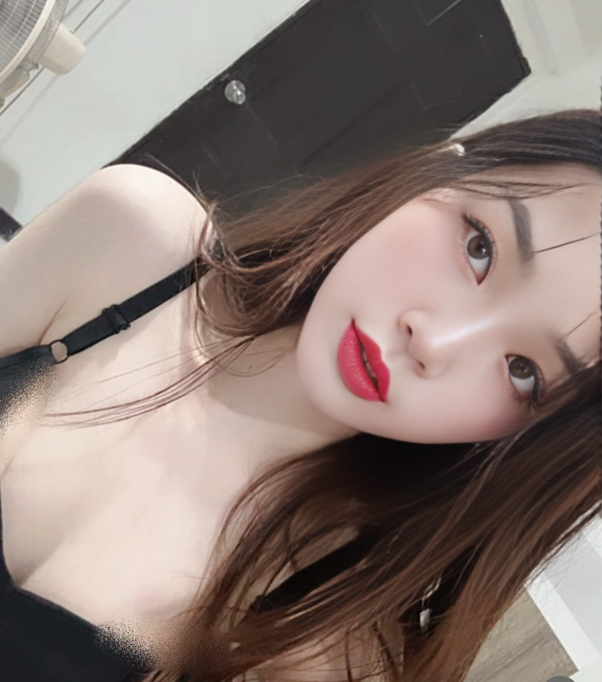 新竹定點茶-麋鹿/167/45/21/C